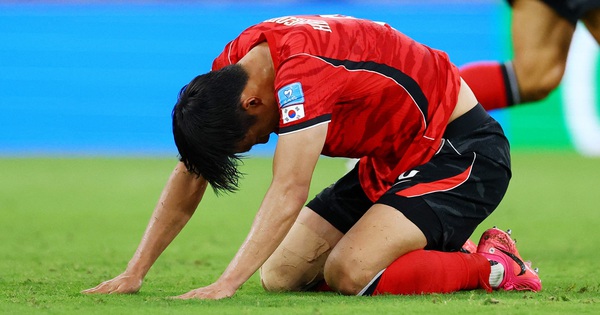 App F168: Cập nhật nóng về việc Hàn Quốc bị loại khỏi World Cup 2026 - hình ảnh - f168winn.com